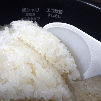正確にはかる